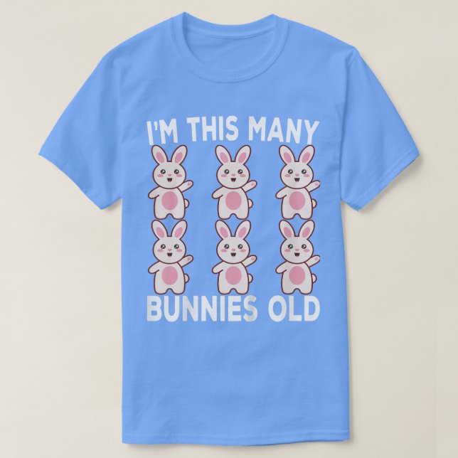 Kids 6 Year Old Birthday Bunny Lover 6th Birthday  T-Shirt (Design Front)