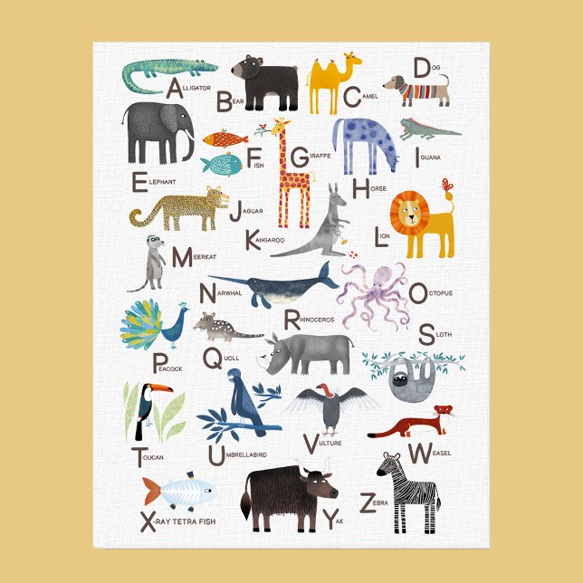 Kids Animal ABC Alphabet Canvas Print (Cute animal ABC alphabet for newborn, boy or girl gender neutral nursery or kids room decor wall art)