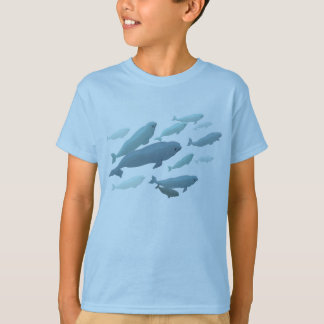 Kid's Beluga Whale T-Shirt Kid's Whale Art Shirt