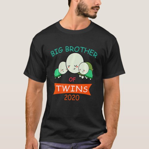 Kids Big Brother of Twins 2020 Turtle Twin T_Shirt