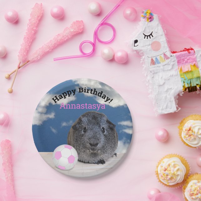 Kids Birthday Guinea Pig Pink Soccer Ball Custom Paper Plates (Party)