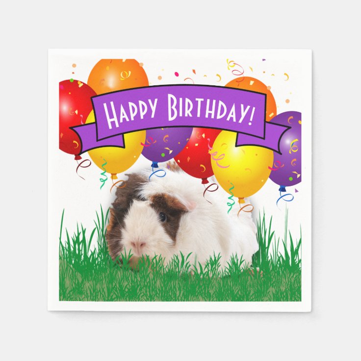 Kids Birthday White Guinea Pig Party Balloons Napkins Zazzle