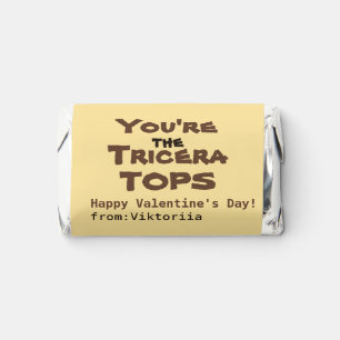  Kids boys valentines day dinosaur Hershey's Miniatures