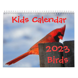 Kids Calendar - 2023 - Birds