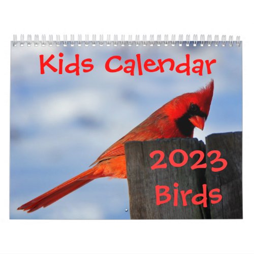 Kids Calendar _ 2023 _ Birds