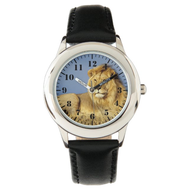 Kids Classic Watch/Wildlife Lion Watch (Front)