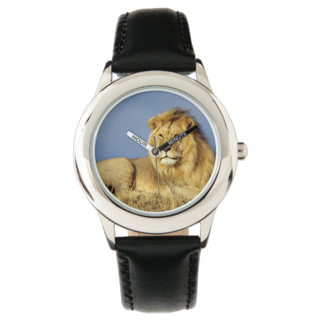 Kids Classic Watch/Wildlife Lion Watch (Front)