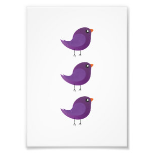 Kids cute birdy photo print