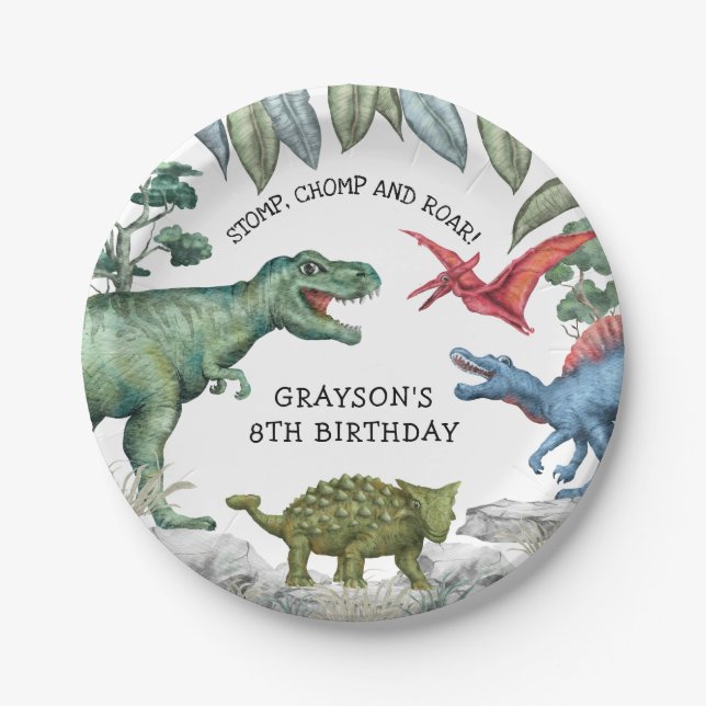 Kids Dinosaur Birthday Party Paper Plates (Front)