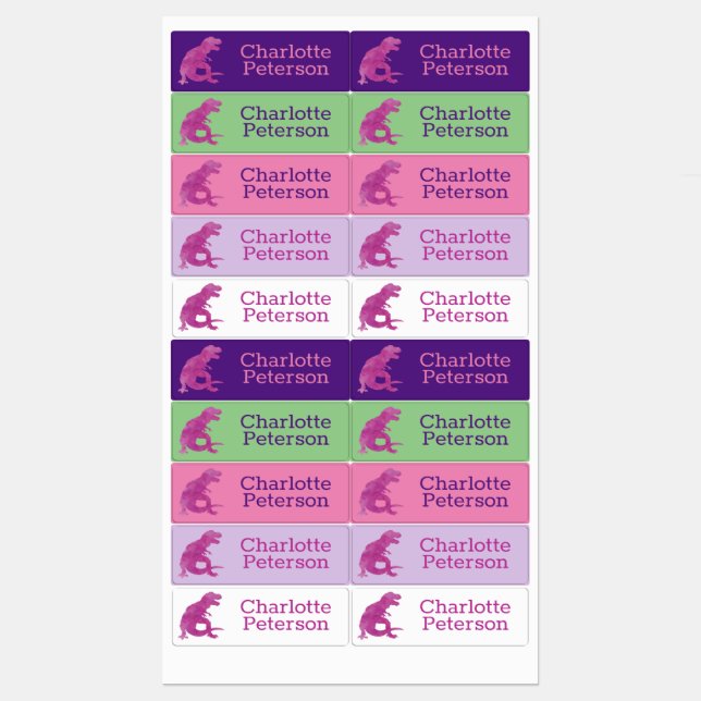 Kids Dinosaur Personalized Pink Purple Waterproof Kids' Labels (Sheet)