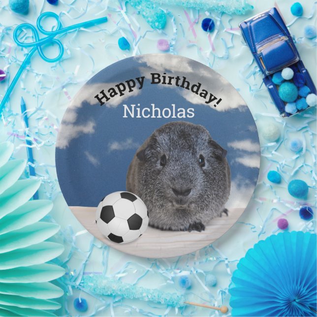 Kids Happy Birthday Guinea Pig Soccer Ball Custom Paper Plates (Party)