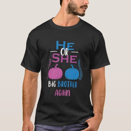 Kids He Or She Big Brother Again Gender Reveal Par T_Shirt