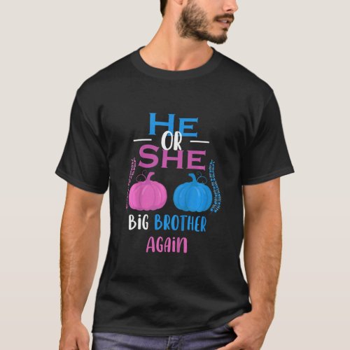 Kids He Or She Big Brother Again Gender Reveal Par T_Shirt