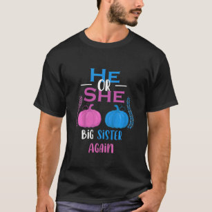 Kids He Or She Big Sister Again Gender Reveal Part T-Shirt