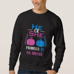 Kids He Or She Promoted To Big Brother Gender Reve Sweatshirt