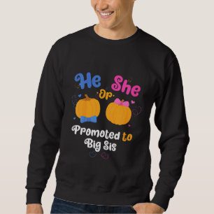 Kids He Or She Promoted To Big Sis Gender Reveal P Sweatshirt