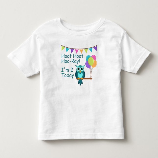 Kids Hoot Hoot Hoo-Ray I'm 2 Today Owl T-Shirt (Front)