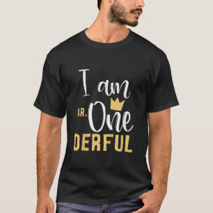 Kids I Am Mr Onederful 1st Birthday First One Derf T-Shirt