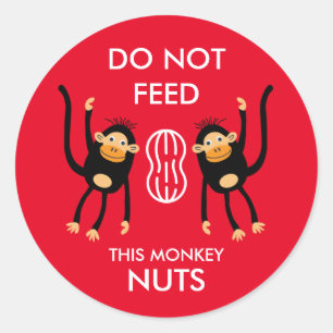 Kids Nut Allergy Warning Classic Round Sticker