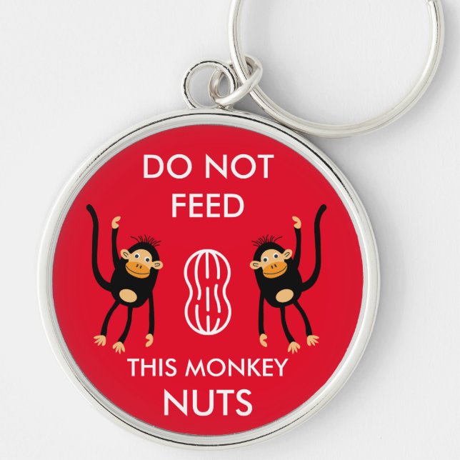 Kids Nut Allergy Warning Keychain (Front)