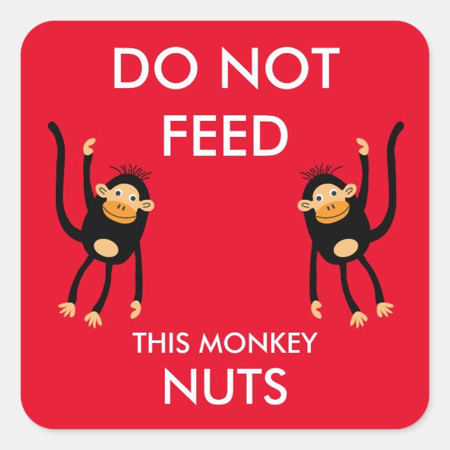 Kids Nut Allergy Warning Square Sticker (Front)