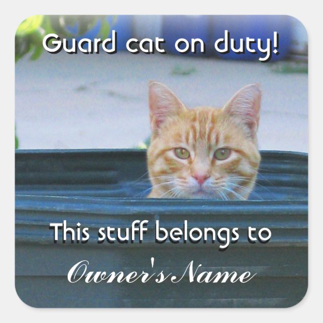 Kid's Personalized Sticker--Guard Cat on Duty Square Sticker (Front)