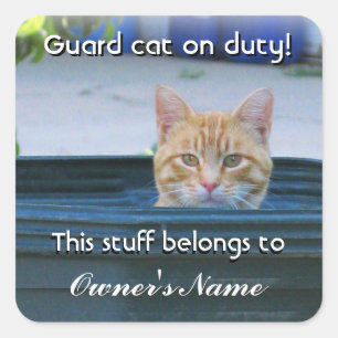 Kid's Personalized Sticker--Guard Cat on Duty Square Sticker