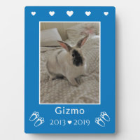 Kids Pet Bunny Rabbit Loss | Blue Photo Memorial