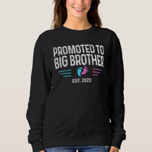Kids Promoted To Big Brother 2023  Boys Or Girl  P Sweatshirt