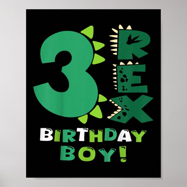 Kids Three Rex Birthday Boy 3rd Birthday Dinosaur  Poster (Front)