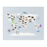 Kids World Map Animals Acrylic Print