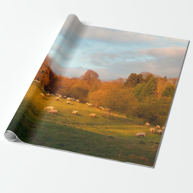 Kiftsgate Wrapping Paper (Unrolled)