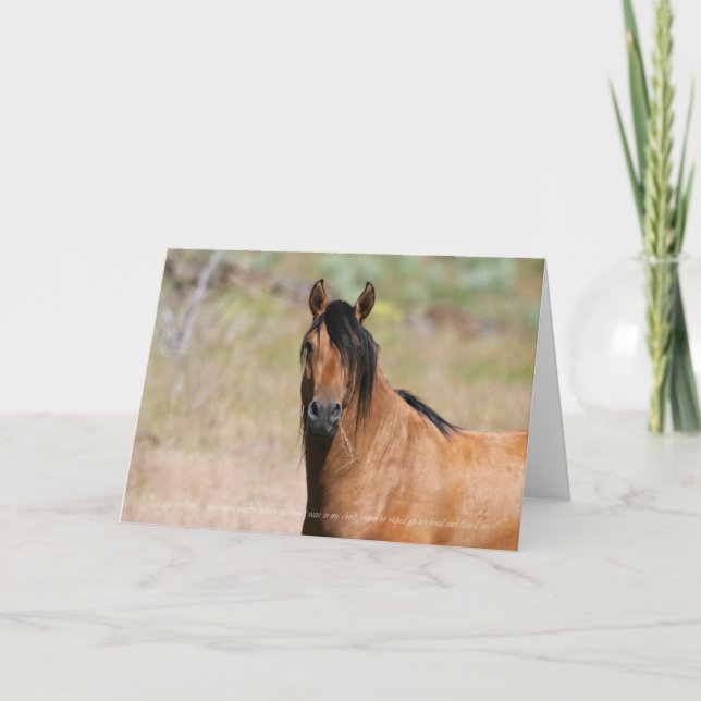 Kiger Stallion Greeting Card (Front)