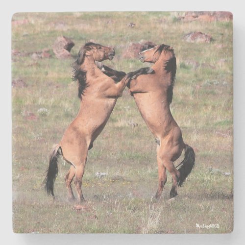 Kiger Wild Coasters