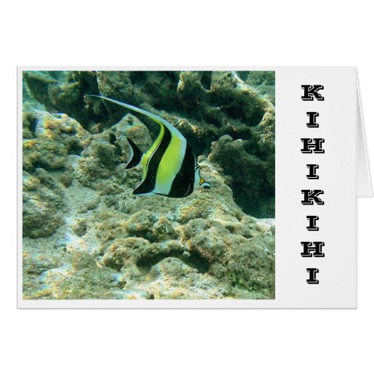 Kihikihi (Front Horizontal)