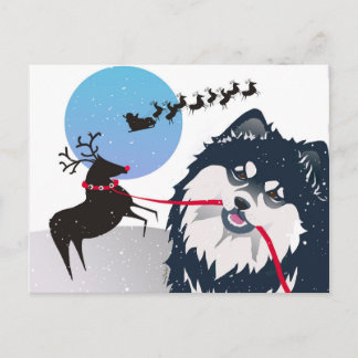 KIITOS SANTA -Finnish Lapphund postcard