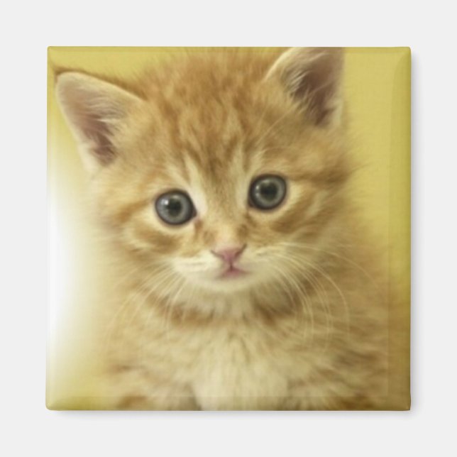 Kiity Magnet (Front)