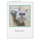 KiKi Ciollection  # 2 (Front)