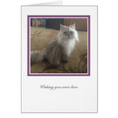 KiKi Collection # 1 (Front)