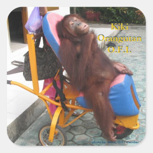 KiKi Orangutan in Her Wheelchair Square Sticker