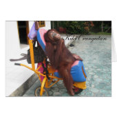 KiKi Orangutan OFI Charity (Front Horizontal)
