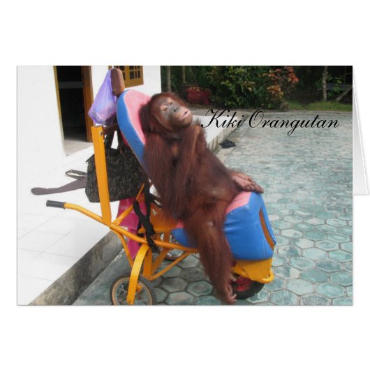 KiKi Orangutan OFI Charity Cards (Front Horizontal)