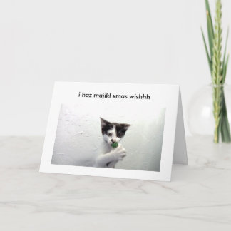 Kiko lolcat holiday card - poof!