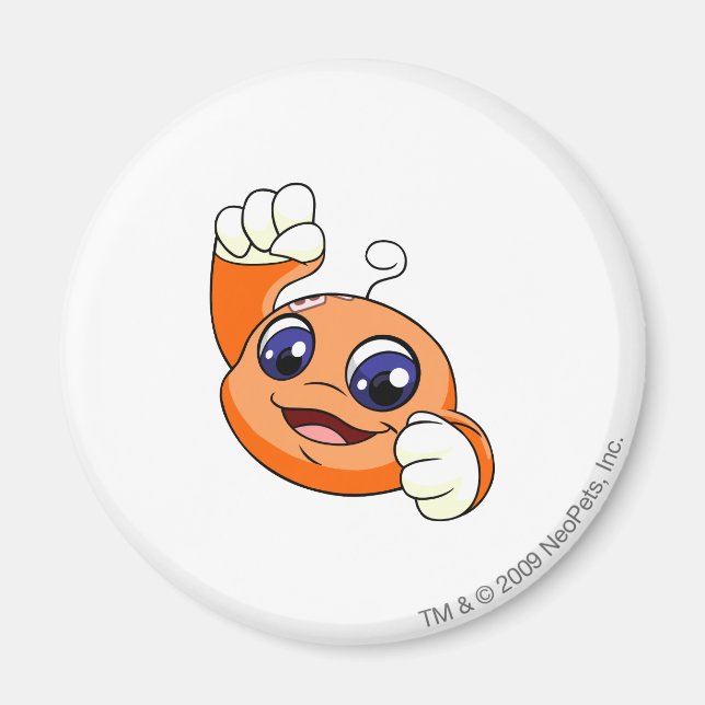 Kiko Orange Magnet (Front)