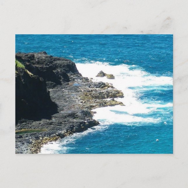 Kilauea Coastline Kilauea Kauai Hawaii Postcard (Front)