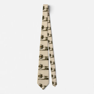 Kildeer Plover (Killdeer) Audubon Birds of America Neck Tie