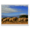Kilimanjaro And Elephants