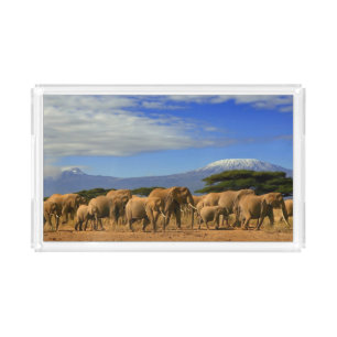 Kilimanjaro And Elephants Acrylic Tray