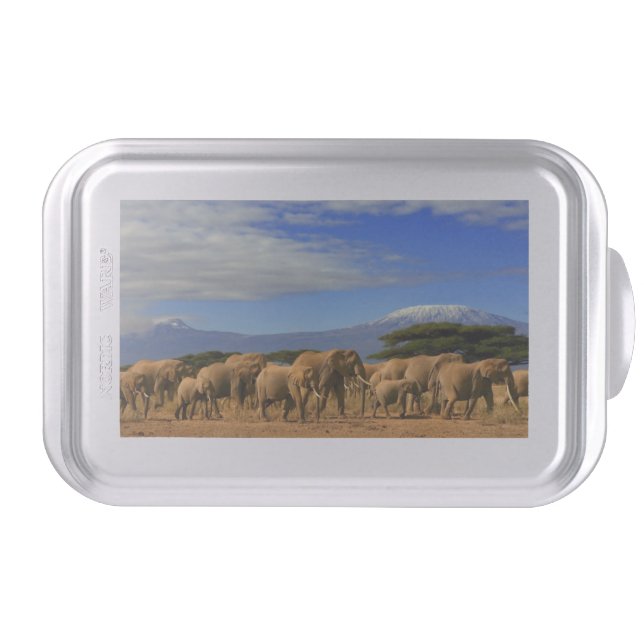 Kilimanjaro And Elephants Cake Pan (Front)