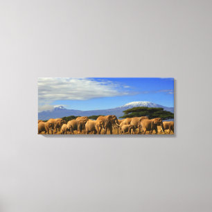 Kilimanjaro And Elephants Canvas Print